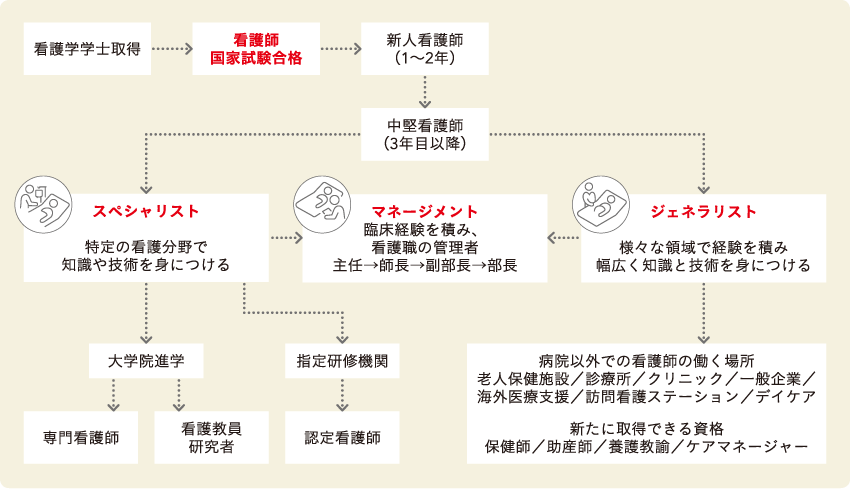 卒業後の展望