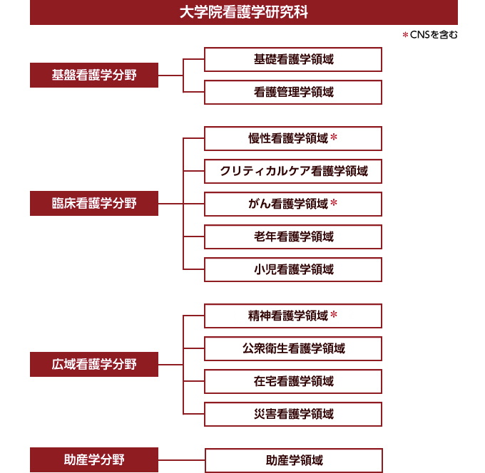 大学院看護研究家